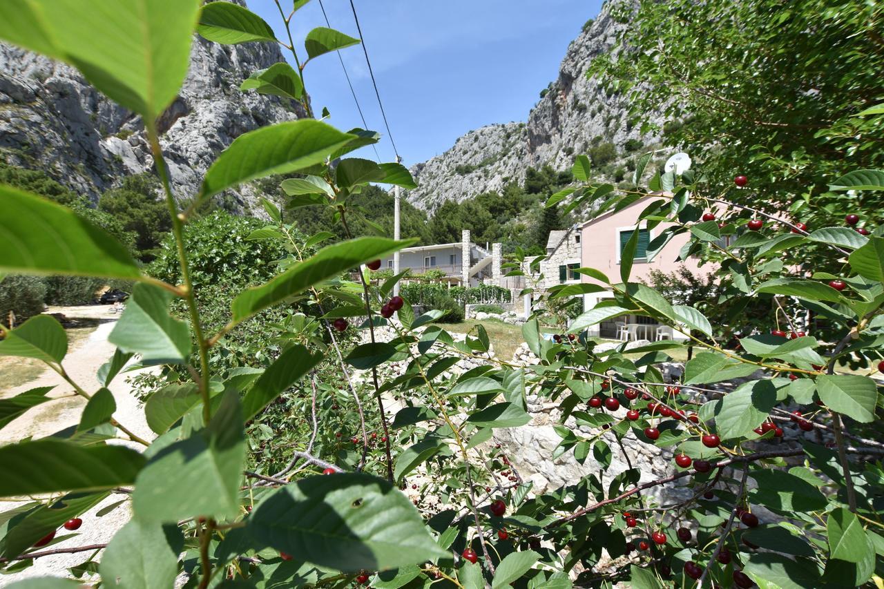 Apartment Petea Omiš Exteriör bild