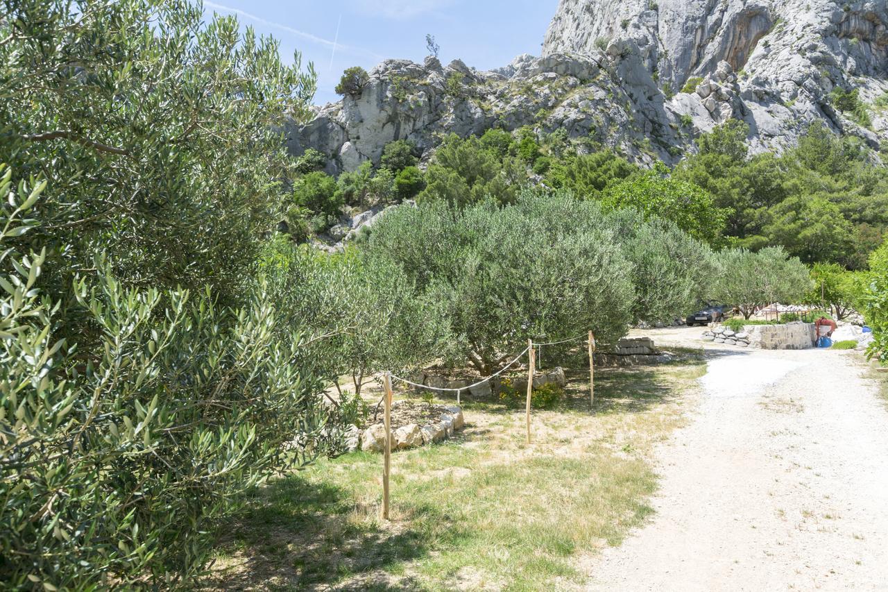 Apartment Petea Omiš Exteriör bild